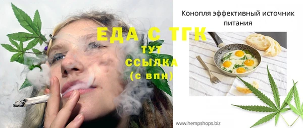 спиды Богородск