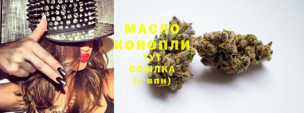 спиды Богородск