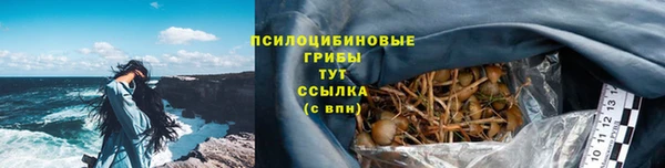 спиды Богородск