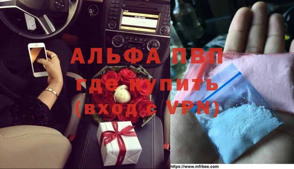 спиды Богородск