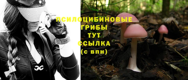 синтетический гашиш Богданович